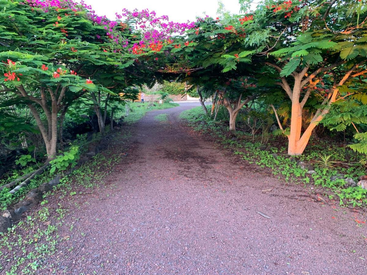 Casa Verde Vacation Garden Home San Cristobal Bagian luar foto